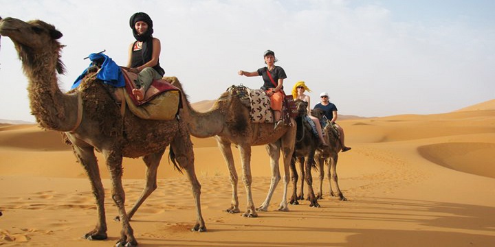 Merzouga Desert Day & Night Camel trekking