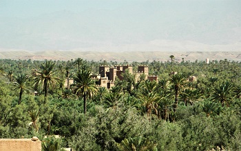 3 days Desert Trip from Marrakech to Fes